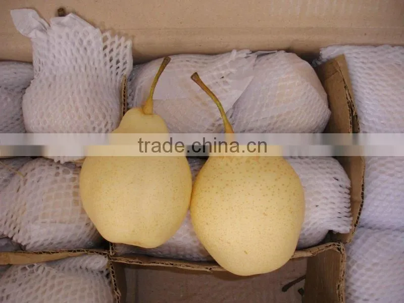 2016 good quality of the ya pear