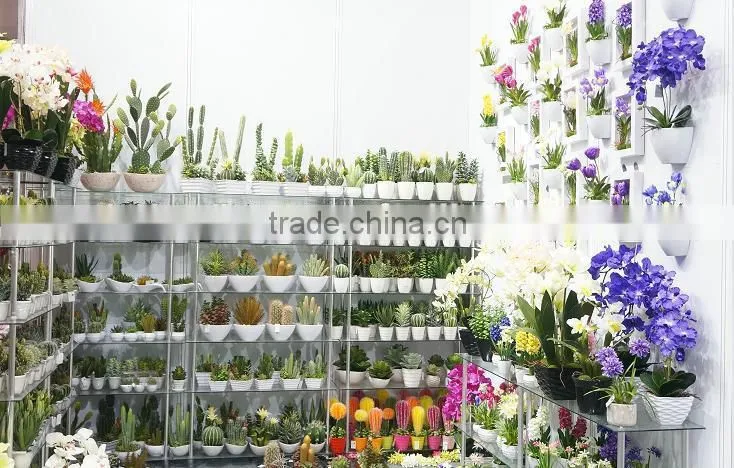Indoor Plastic Pyrolysis Plant