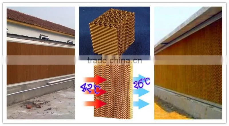 Made in China cheap but good quality equipment poultry farm fans