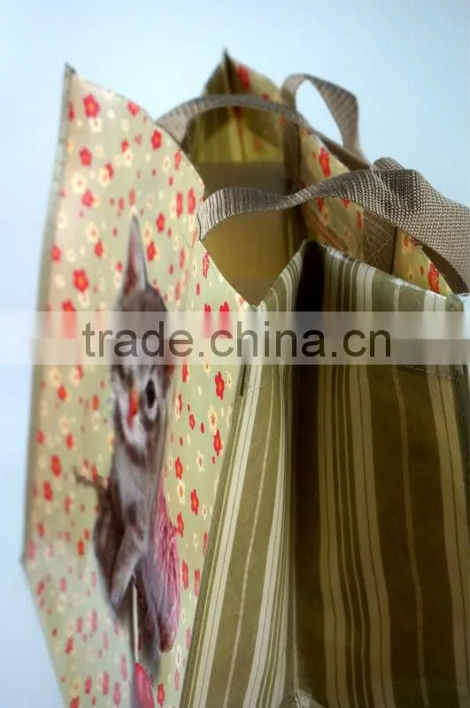2014 Eco-friendly pp woven bag for shopping