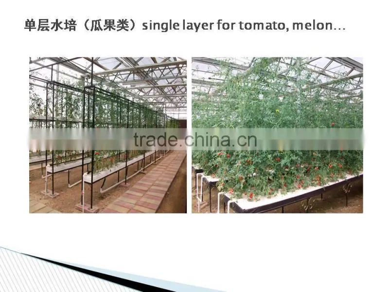 Greenhouse Hydroponics garden for vegetables