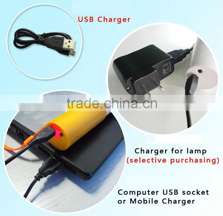 DC5V Rechargeable Battery Power Source led flashlight torch
