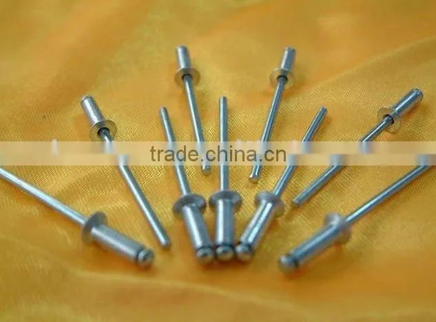 Silver Rivets