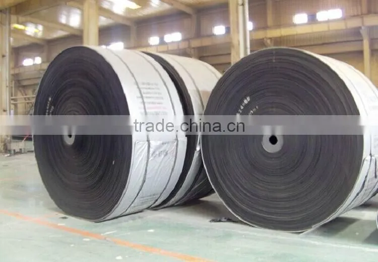Economic type cheap high capacity conveyor belt price popular products in usa