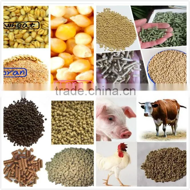 feed pellet machine