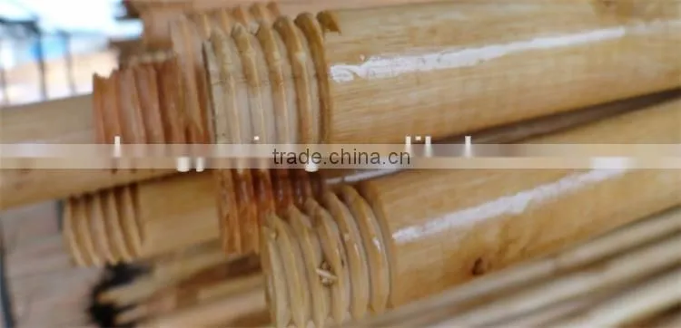 Natural wooden lacquered and threaded mop handle