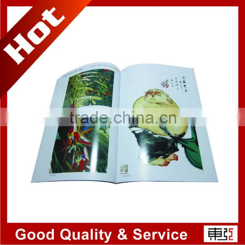 Nice Picture Album Printing Service in China