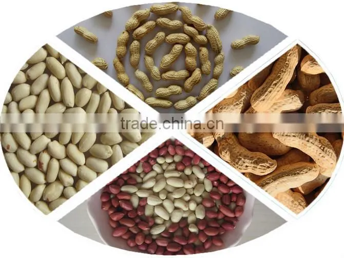 Blanched Peanut Kernels Best Quality And Hot Sell