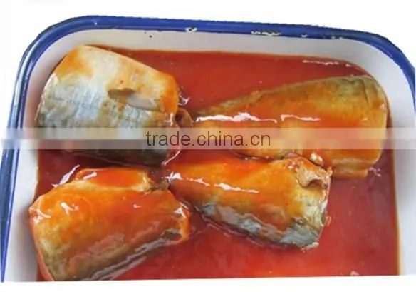 125g 155g 425g OEM Canned Sardine In Tomato Sauce and In Vegetable Oil with Low Price