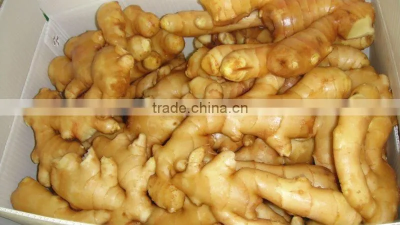 Fresh Ginger