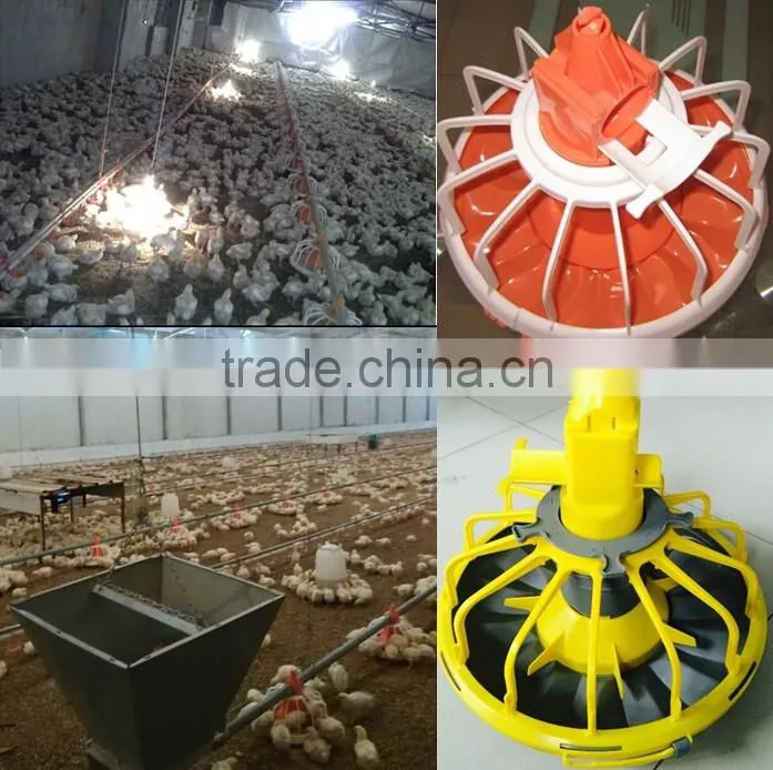 Eonomical commercial steel frame broiler chicken house