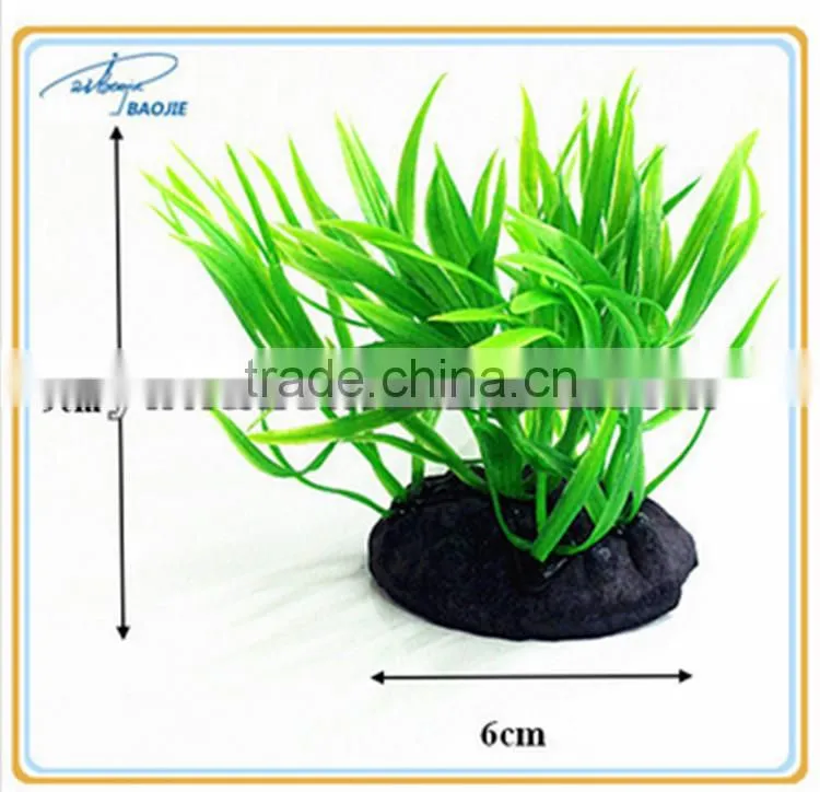 Pleasing Glass Aquarium Fish Tank