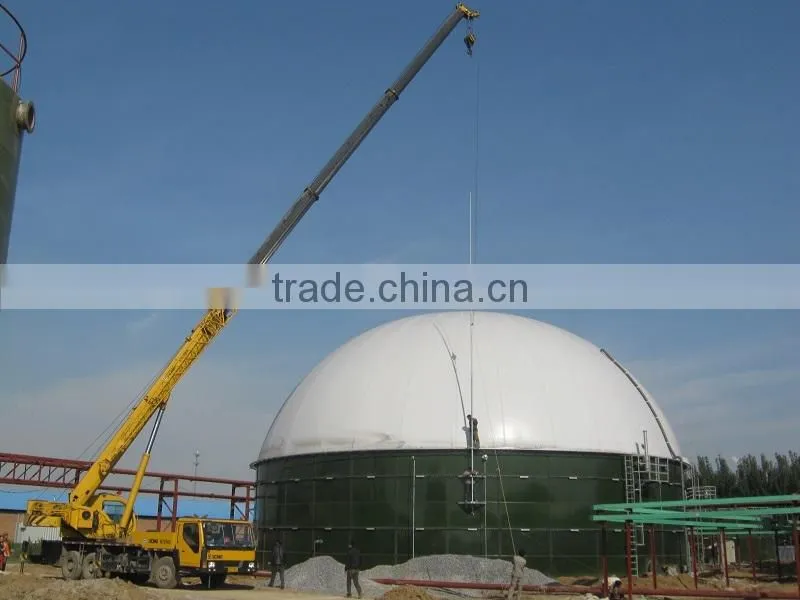 3. 1 MW Biomass Gasification Power Plant Glass Fused to Steel Tank to Convert Waste to Energy
