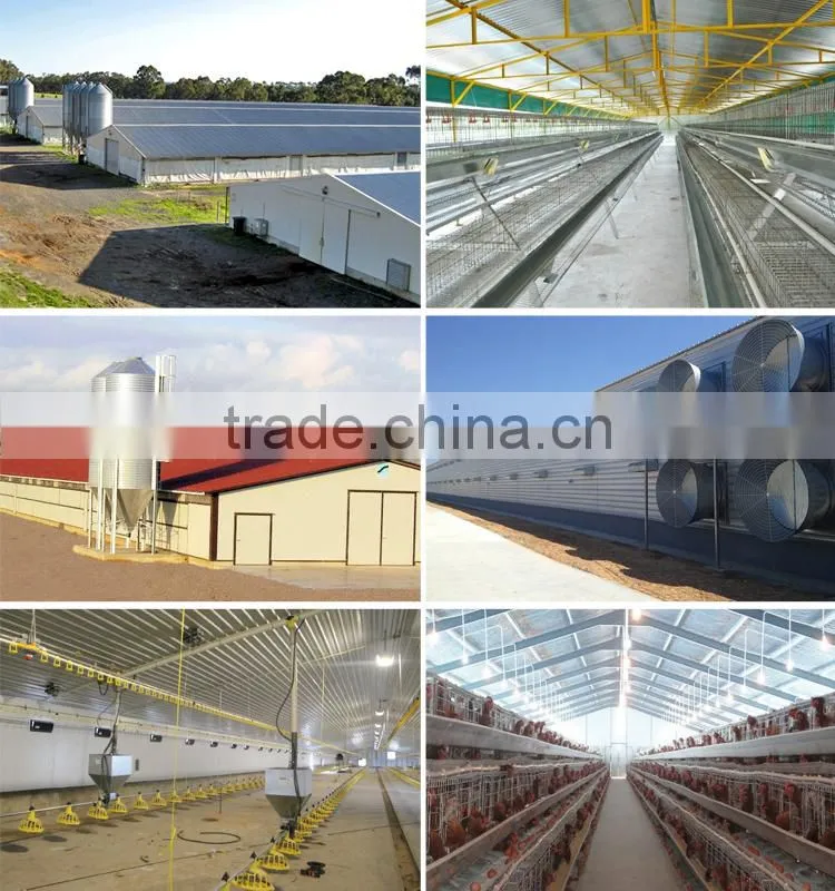 Low Cost Steel Structure Warehouse From China DFX