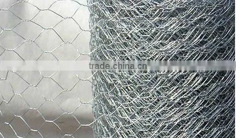 Glavanized Bird netting roll