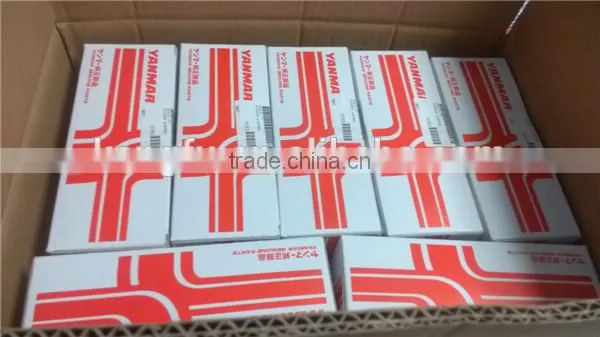 TS16949 G3 plunger (material:bearing steel)