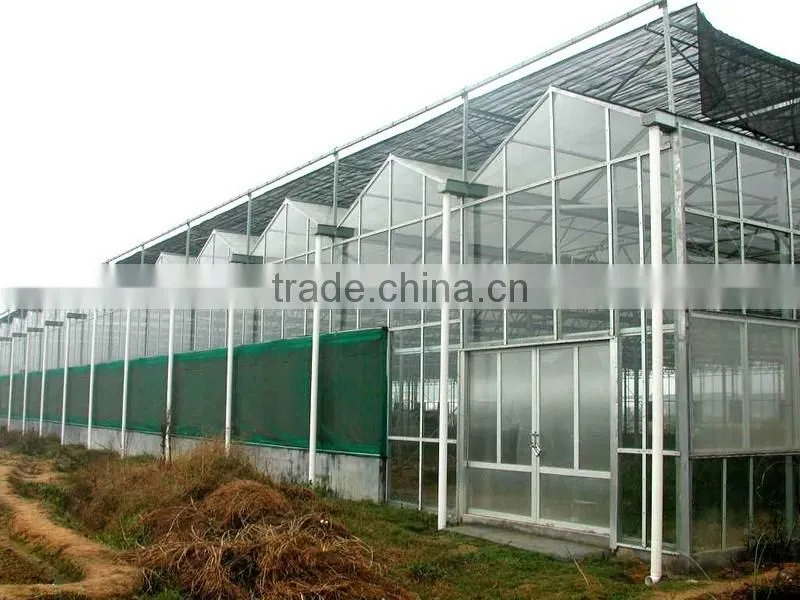 Glass sunlight greenhouse for vegetables