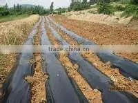 black plastic agricultural film
