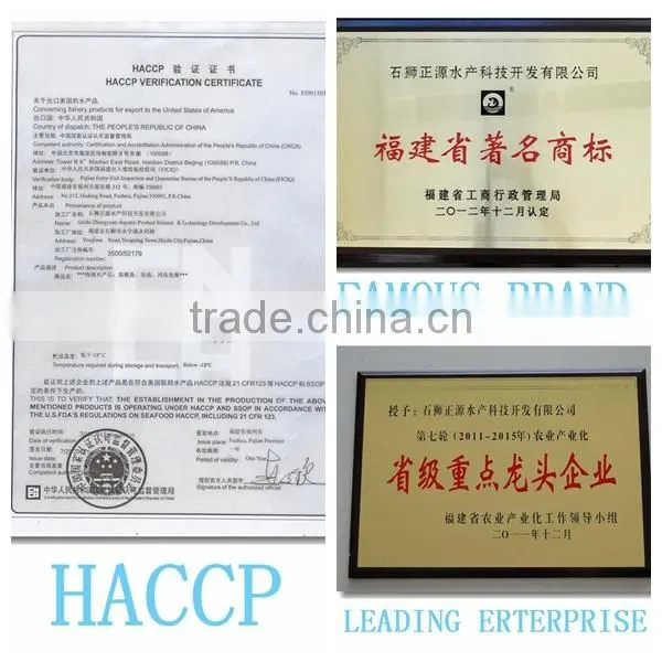 For Africa/Southeast Sell Market Frozen Fish Frozen Mackerel