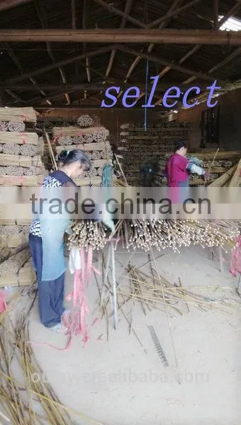 Raw material nature color Tonkin bamboo poles/Tsinglee bamboo