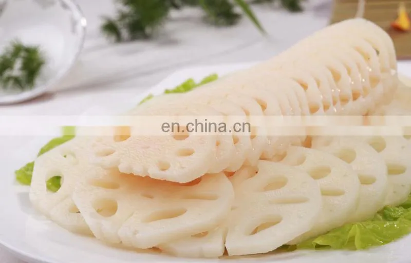 Fruit grater slicer vegetable cutter vegetable/industrial fruit cutter/commercial melon and fruit cutter