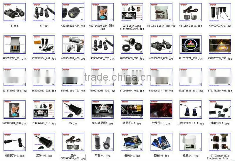 auto LED courtesy ghost door light