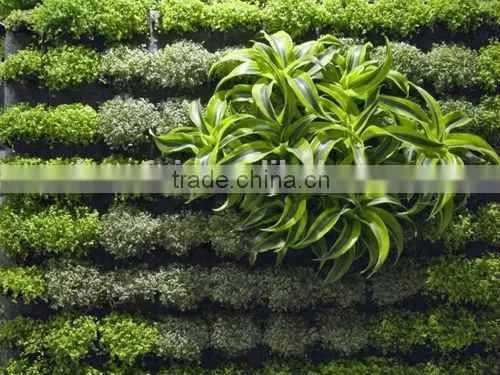 New Style High Quality Artistic Artificial Plant (grass/flower) Wall