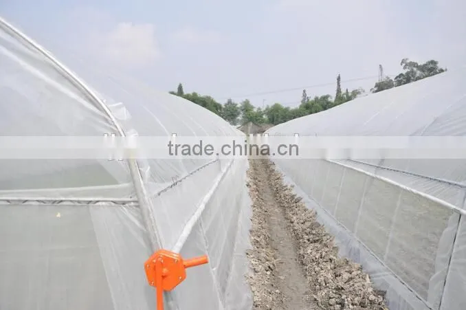 galvanized multi-span cheap greenhouse