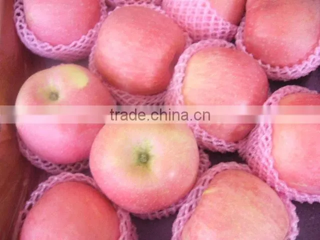 red Fuji apple