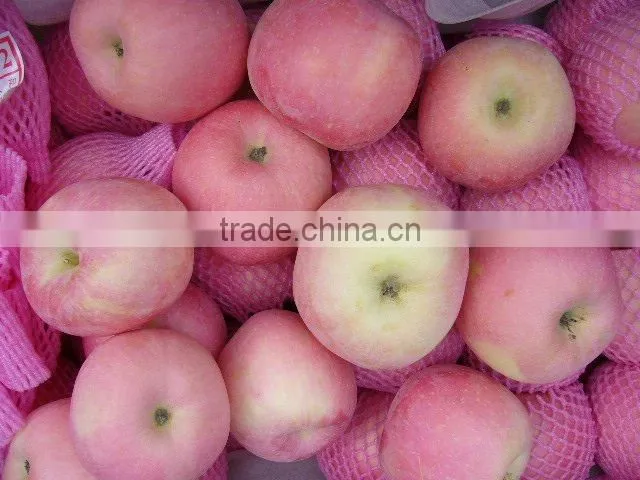 red Fuji apple