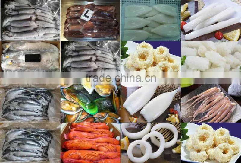 Frozen todarodes squid tentacles