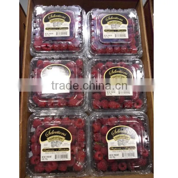 blackberry packaging box