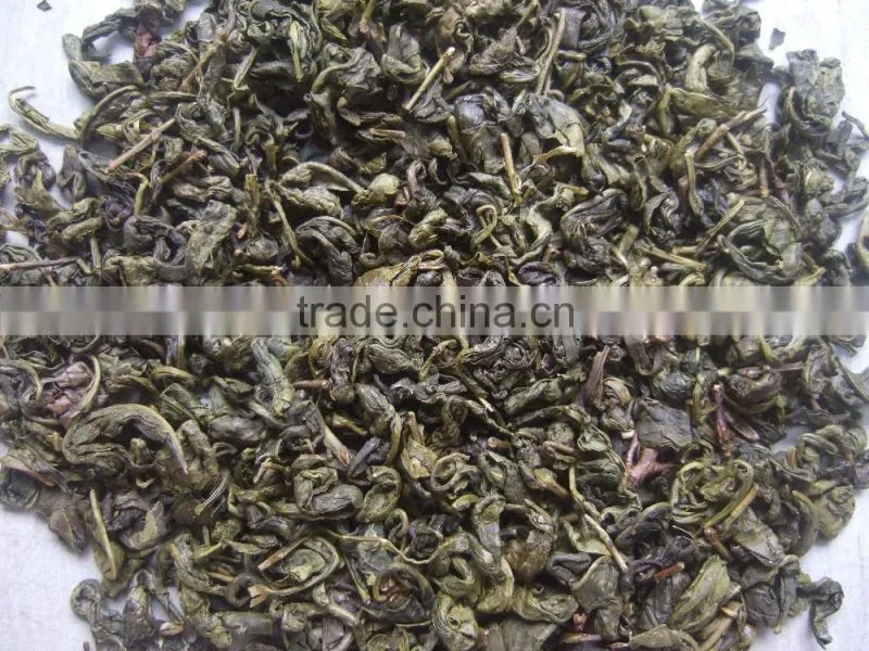 2016 Various grade available green china gunpowder green tea 9275