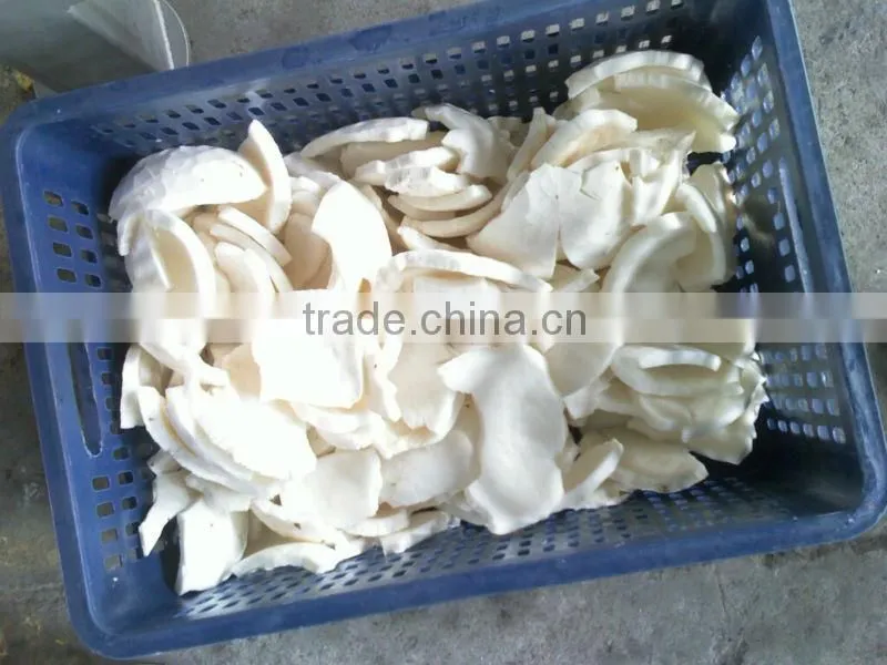 coconut grinder machine