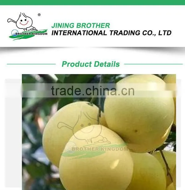 China fresh pomelo from Brother Kingdom