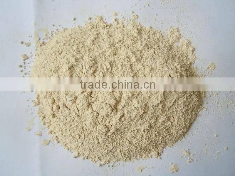 garlic powder