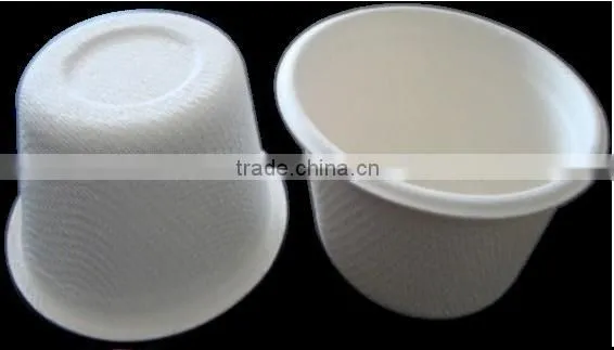 High Quality Eco-Friendly Sugarcane Tableware for Sale