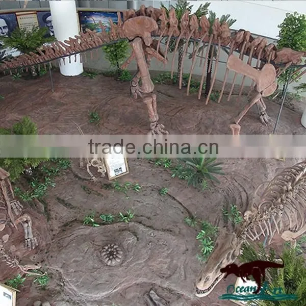 Museum Standard High Quality Dinosaur Skeleton