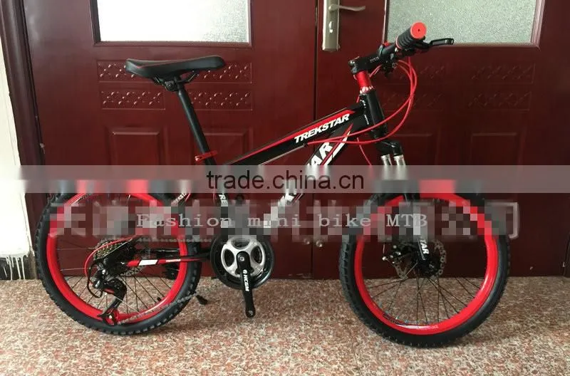 Bicycle Fashion Mini Bike MTB 10 Inches Sports Gear Steel Folding Bike Sell Like Hot Cakes