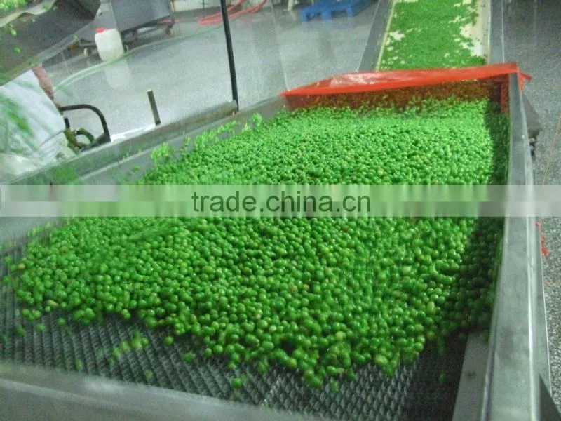 BRC,OU KOSHER ,HALAL certificates IQF green peas