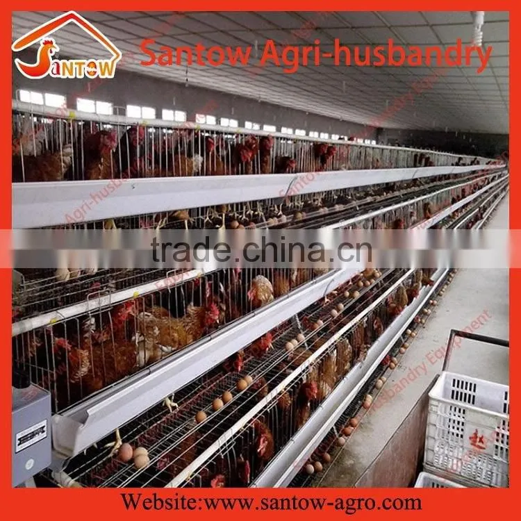 Automatic chicken egg layer cages poultry cage battery cage system for sale