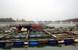 Xiamen Taiseng Imp. & Exp. Co., Ltd. company overview - view 3