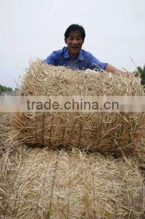 Small Round Baler Machine For Field Hay Tidy Storage