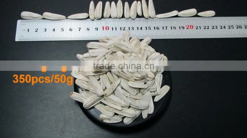 100% new white sunflower seeds buyers sunflower