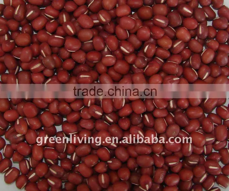 2011 new dried red kidney bean (cheapest price )