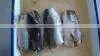 Canned seafoods