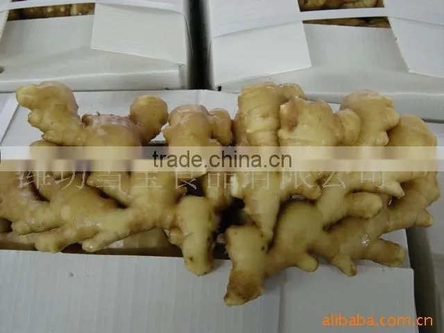 fresh ginger