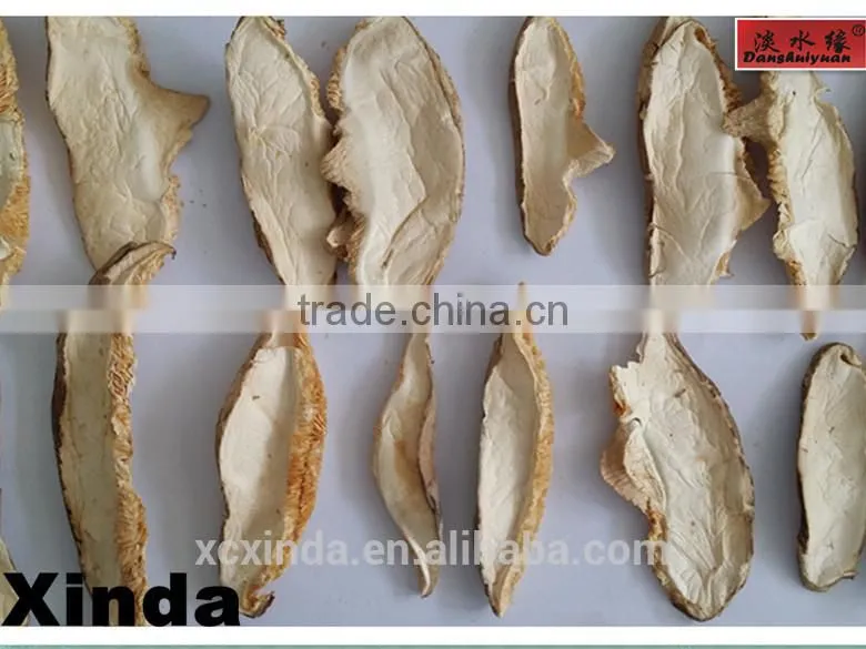 Dried Flower Mushroom Brown