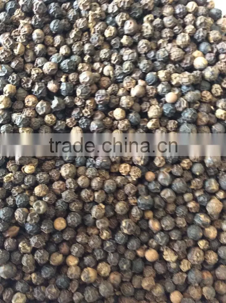 VIETNAM HIGH QUALITY BLACK PEPER FAQ 500 GL, 550G/L