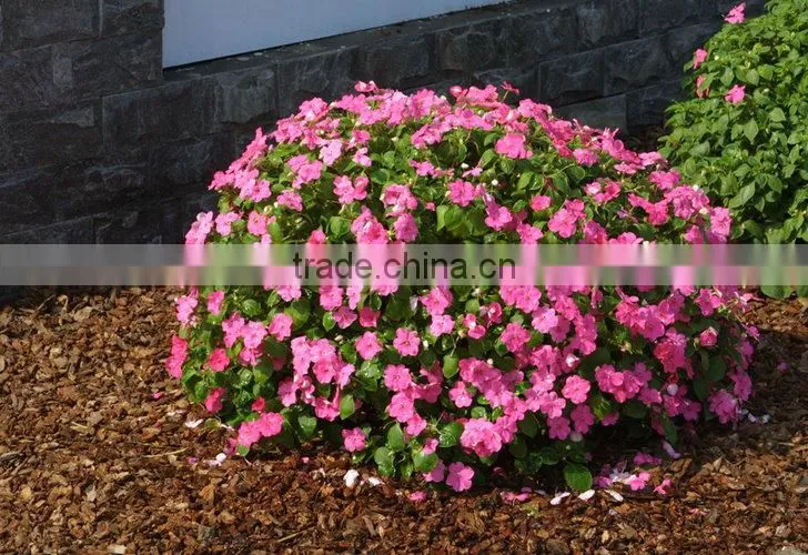Ornaments Type organic mulch